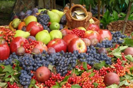 Українська плодово-ягідна продукція поступово витісняє імпортну
