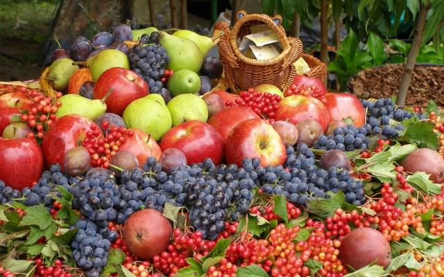  Українська плодово-ягідна продукція поступово витісняє імпортну