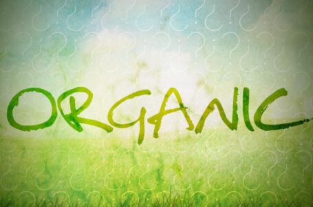 Розсадник родини Лановенко отримав органічний сертифікат