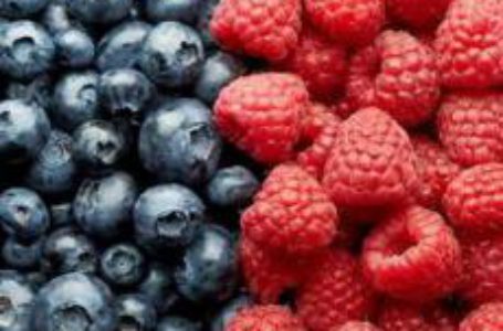 Українські фрукти і ягоди експортуватимуться до Малайзії