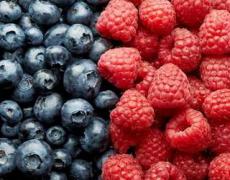  Українські фрукти і ягоди експортуватимуться до Малайзії