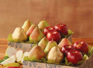  WAPA прогнозує у цьому сезоні збільшення врожаю яблук і груш