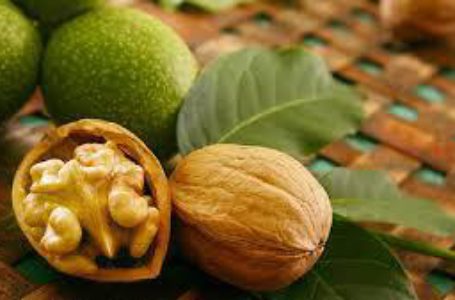 На Вінниччині інвестори побудують заводи з переробки горіхів