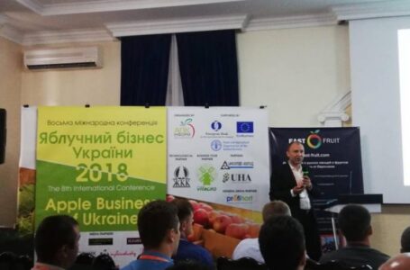 Обвал цен на яблоко в сезоне 2018/2019 неизбежен