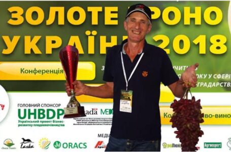 В Украине выбрали самую большую и красивую гроздь винограда