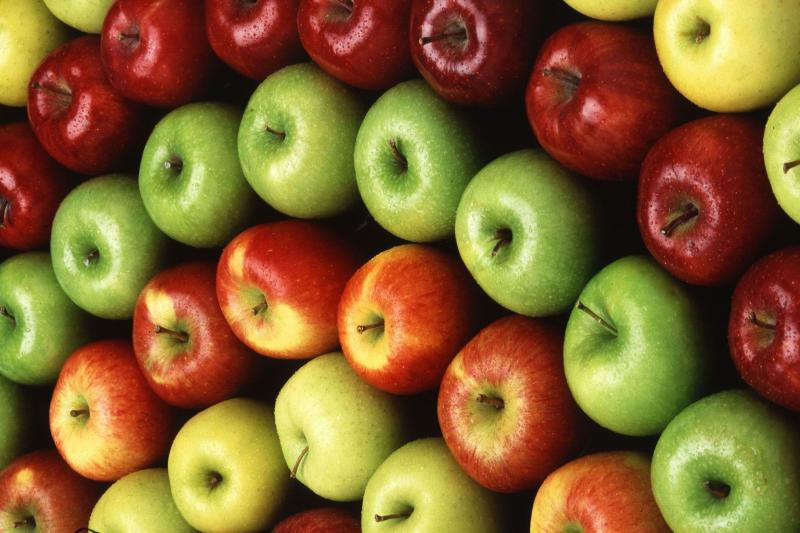  Перепроизводство яблок в Польше ударит по экспортерам