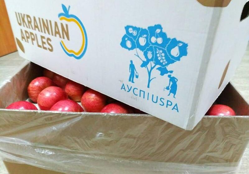  Первый контейнер украинских яблок отправлен в страны Персидского залива