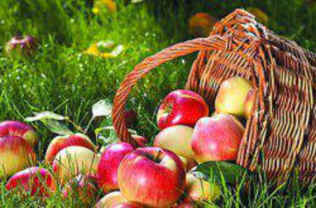 В Украине стремительно дорожают яблоки
