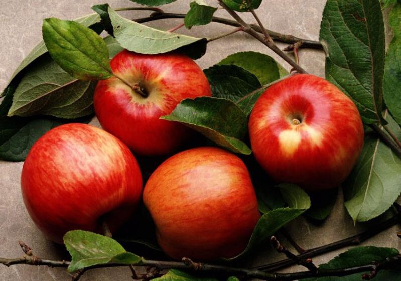  В западном регионе Украины серьёзные проблемы с реализацией десертного яблока