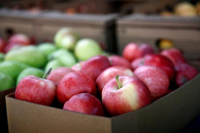  МинАПП призывает не спешить с заявлениями об открытии доступа к рынку яблок Индии