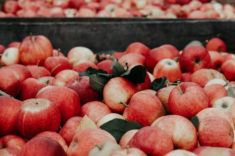  Снижение цен на яблоко в Украине продолжается