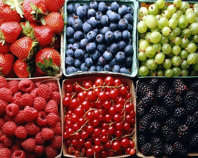  Основным преимуществом украинских ягод на рынке ЕС являеться цена