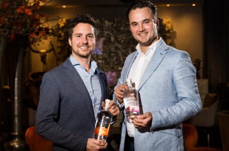 В Голландии создают водку из тюльпанов