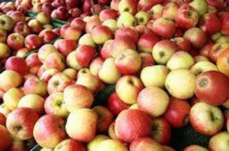 Яблучна продукція займає найбільшу частку на органічному плодоовочевому ринку України