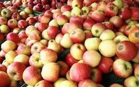  Яблучна продукція займає найбільшу частку на органічному плодоовочевому ринку України