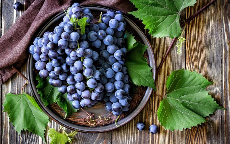 Италия соберет самый большой в мире урожай винограда