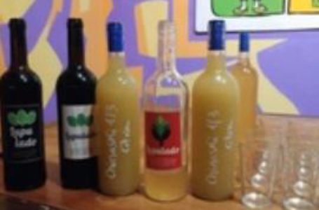 В Испании начали делать вино с хмелем