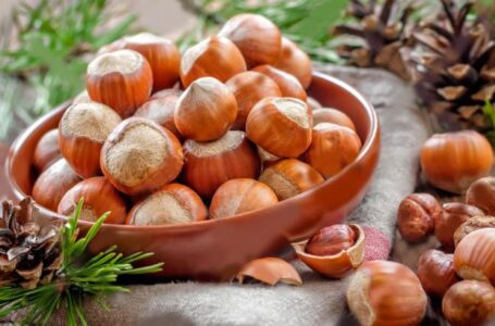 Экспорт грузинского фундука активизируется