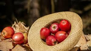 В Украине дорожают некоторые сорта яблок
