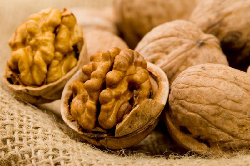  Крупный молдавский переработчик ореха планирует импортировать его из Украины