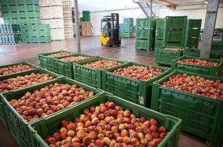 Садівники отримають дотації на придбання холодильників