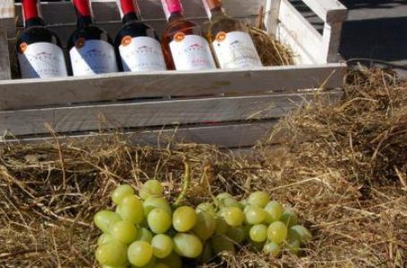 Сімейним виноробням  спростили форму сплати податку на  виробництво алкогольної продукції