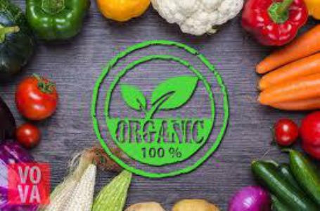 Українські органічні продукти завойовують іноземні ринки