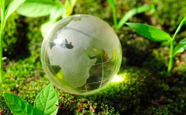  Еко-майбутнє: в Україні започатковано перший органічний освітній проект