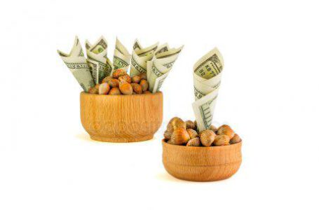 Бюджетное финансирование садоводов в 2019 году увеличиться