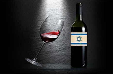 Израиль планирует заняться развитием энотуризма
