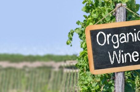 Органическое вино становится все популярнее у европейцев