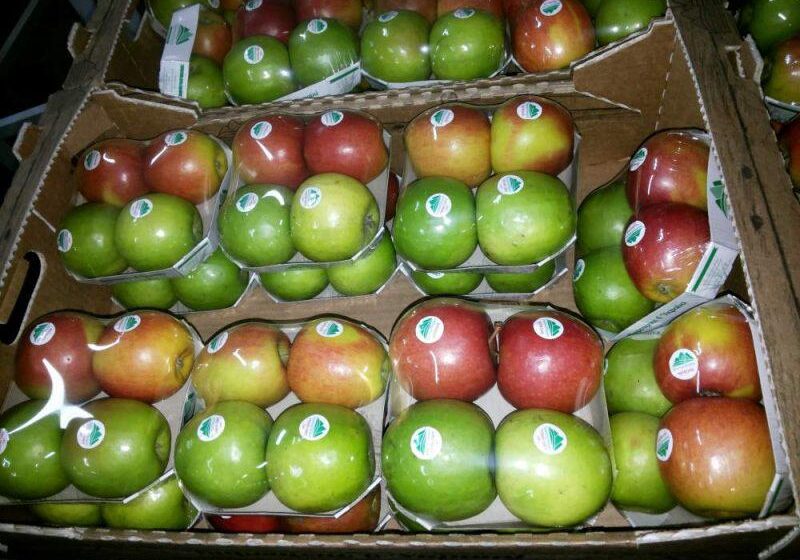  Українські яблука – товар преміум класу в Сингапурі та ОАЕ
