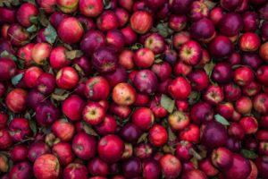  Світовий ринок яблук- 2018 у підсумках асоціації “Укрсадпром”
