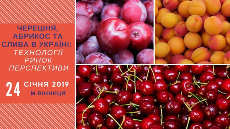  У Вінниці пройде міжнародна конференція для виробників черешні, абрикосів та слив