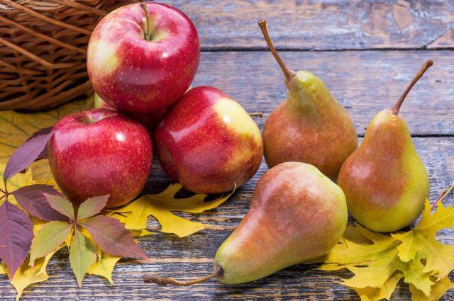  ЮАР надеется увеличить объемы производства яблок и груш