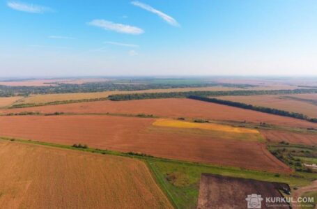 Де в Україні найвища орендна плата за паї