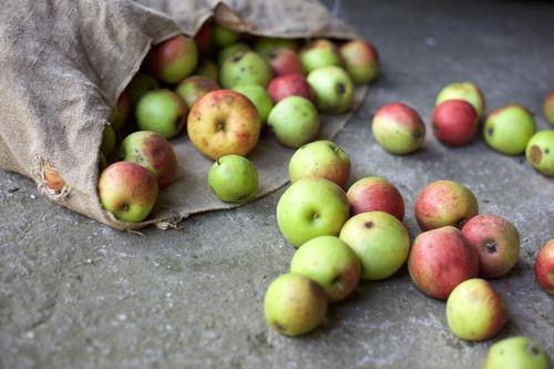  Польша рассматривает возможность введения индикативных цен на яблоко и ягоды