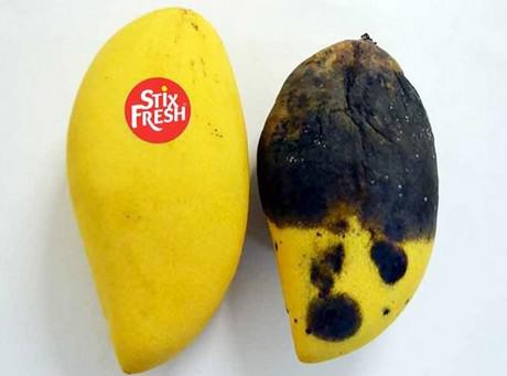  Малайзийская компания презентовала наклейки, предотвращающие порчу фруктов