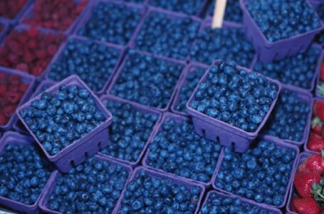 Цього року Україна вперше експортуватиме органічну лохину
