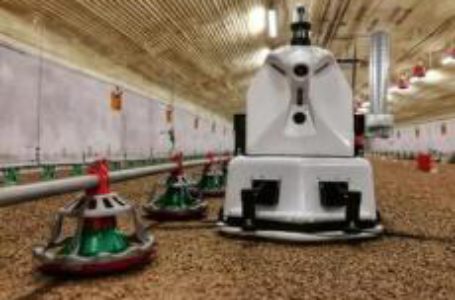 До 2025 року 20-30% фермерських господарств у світі працюватимуть із роботами