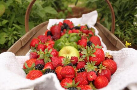 Промышленные садоводы за год нарастили производство на 60%