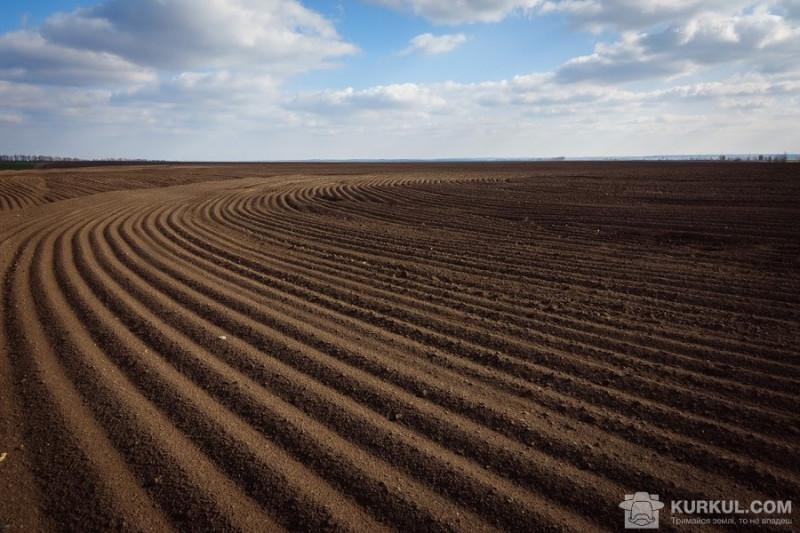  Україна може запустити ринок землі наступного року — Трофімцева