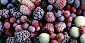  Українські заморожені ягоди збивають ціни на ринку ЄС