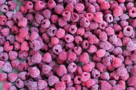 Выручка от экспорта замороженной малины в Польше упала почти на четверть