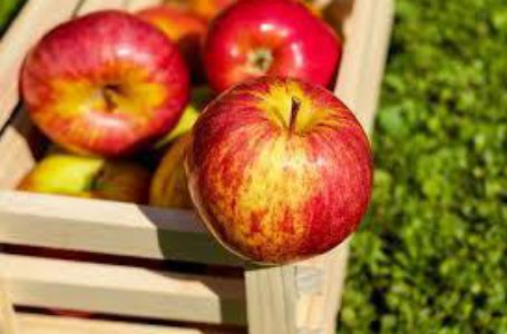 Во Франции потребители предъявляют все больше требований к качеству яблок