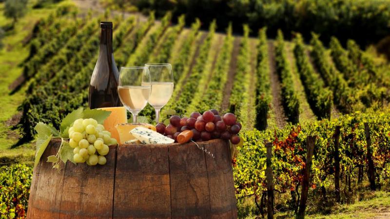  Мировое виноделие побило рекорд по объемам производства за 15 лет