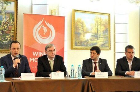 В Молдове запустили реестр игроков винодельческого рынка
