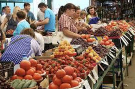 Крайне низкие цены на малину в Украине могут иметь разрушительное влияние на ягодную отрасль