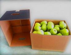 Якій упаковці віддають перевагу імпортери українських яблук