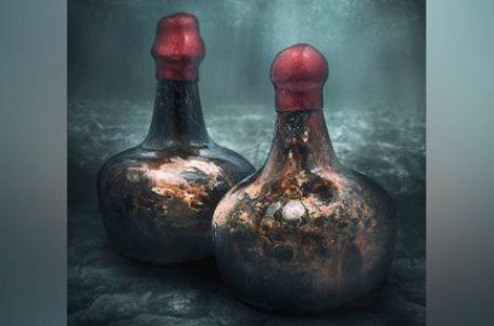 На продажу выставлено старейшее в мире вино с затонувшего корабля